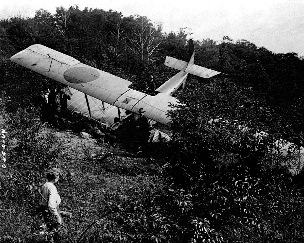crotonhistory_crashed-rum-plane.jpg