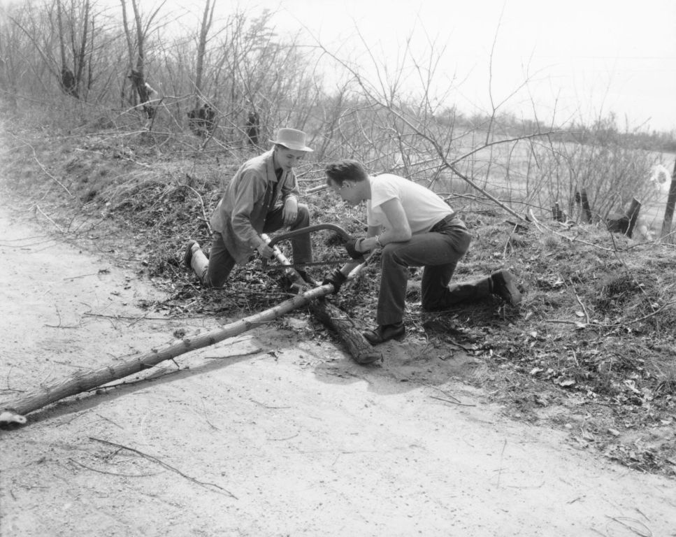 Boy Scouts working with a log