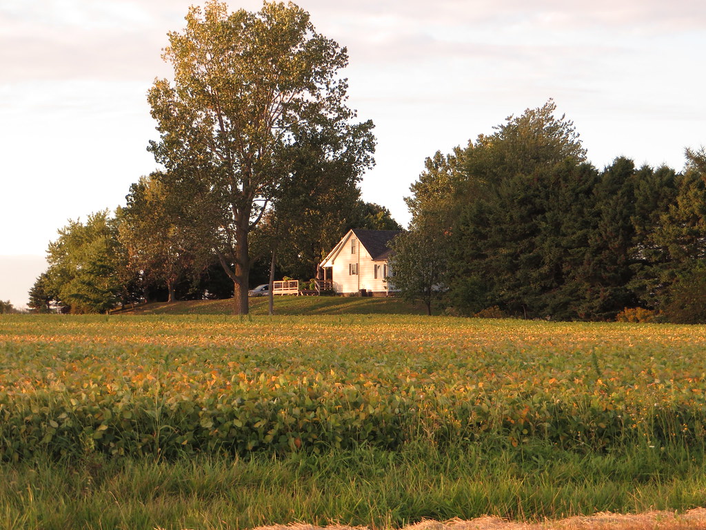 Farm, Chatham-Kent Highway 3, Chatham-Kent, Ontario