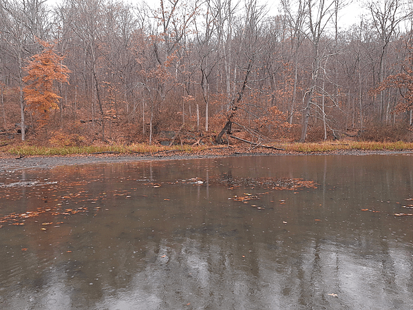 Teatown Reservation, lake's west corner