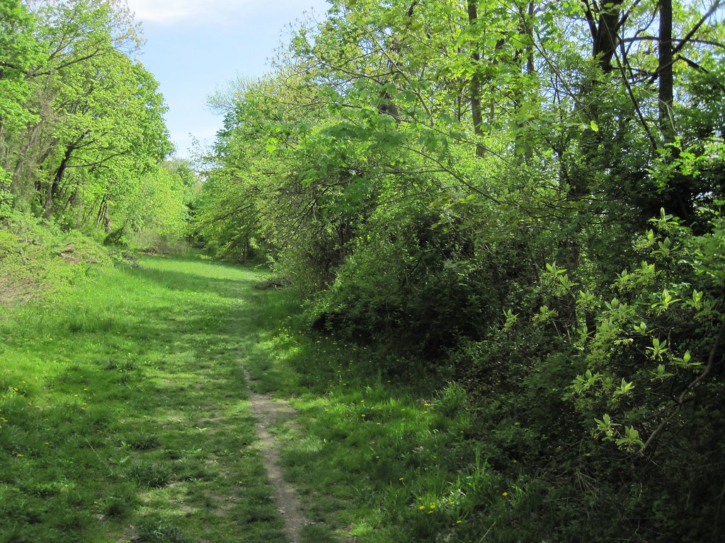 Old Croton Aqueduct Spring 2010