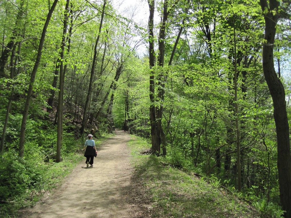 Old Croton Aqueduct Spring 2010