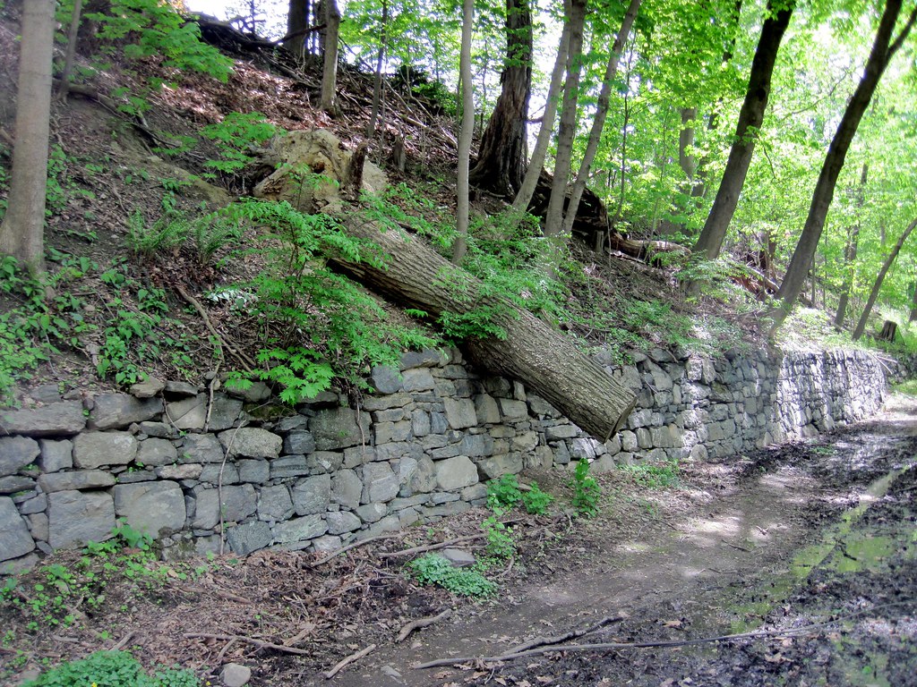 Old Croton Aqueduct Spring 2010