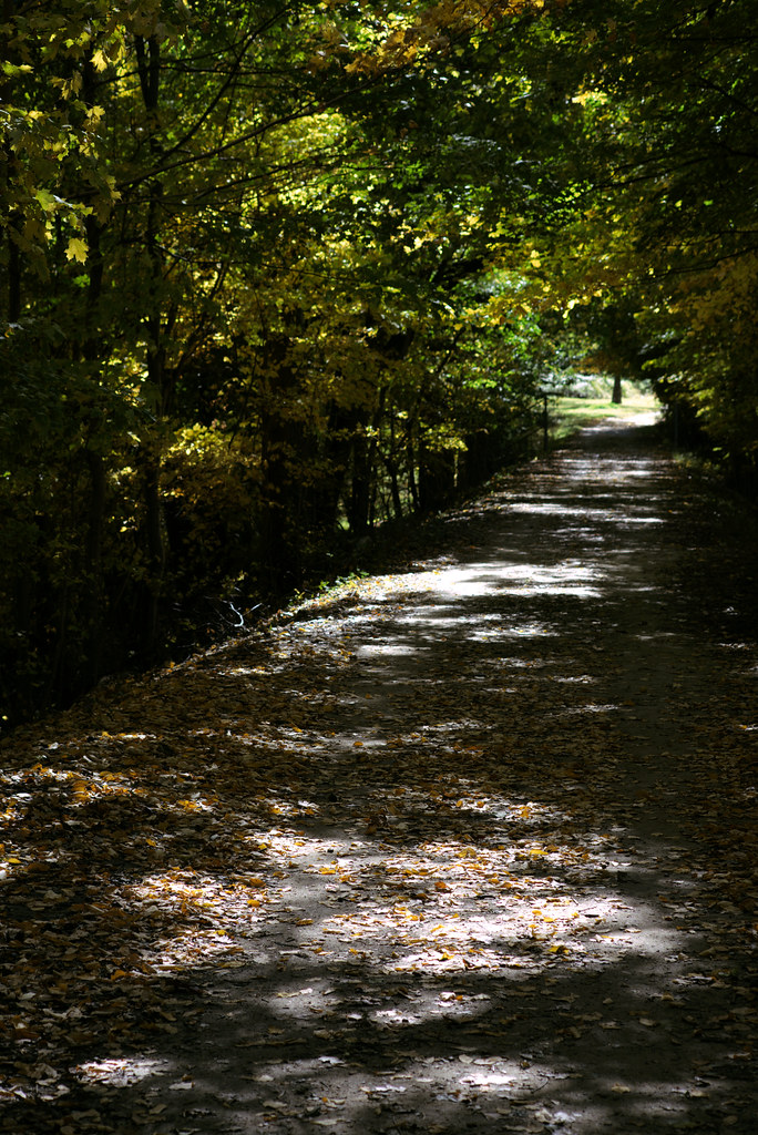 Old Croton Aqueduct Trail