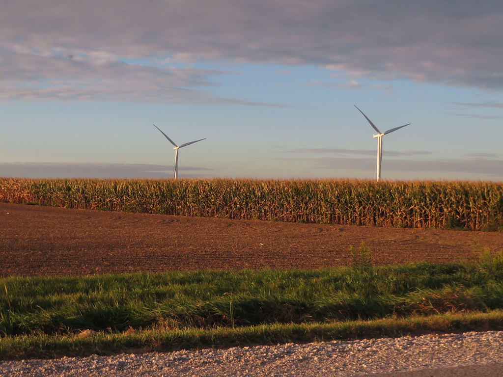 Wind Farm, Chatham-Kent, Ontario