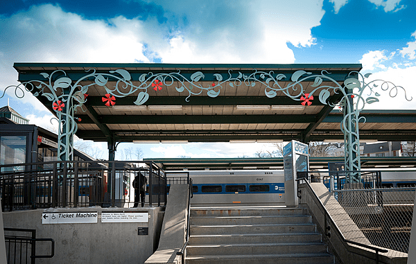 Peekskill Jan Peecks Vine (8683828332)