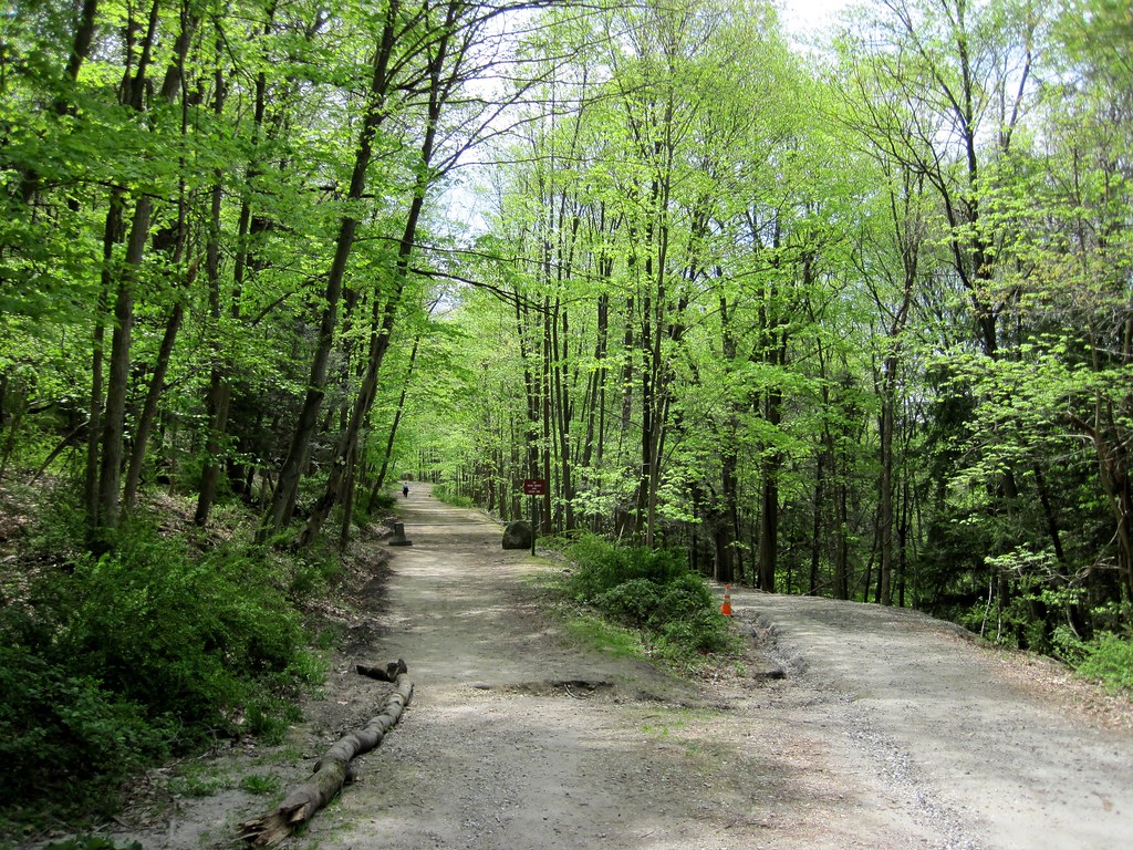 Old Croton Aqueduct Spring 2010