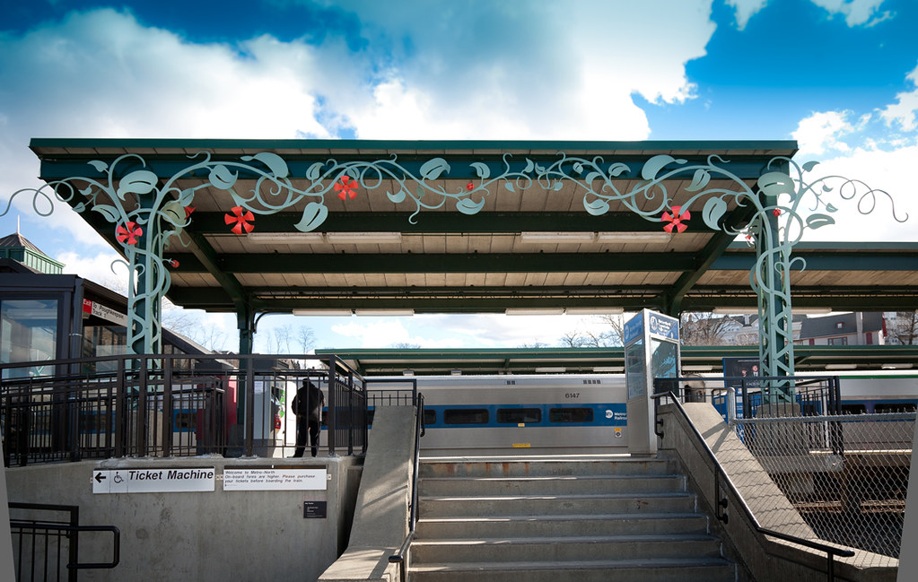 Peekskill Jan Peeck's Vine