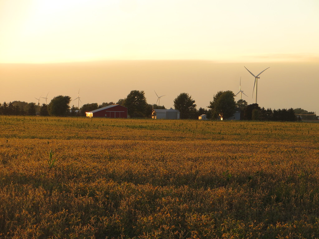 Wind Farm, Chatham-Kent Highway 3, Chatham-Kent, Ontario