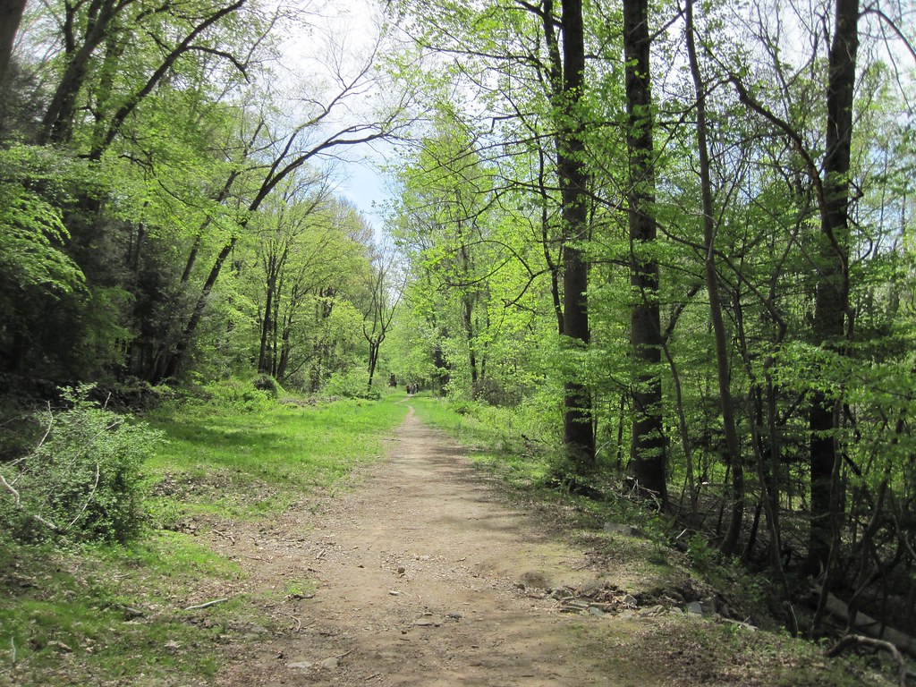 Old Croton Aqueduct Spring 2010