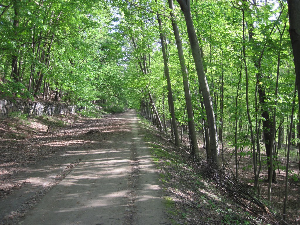 Old Croton Aqueduct Spring 2010