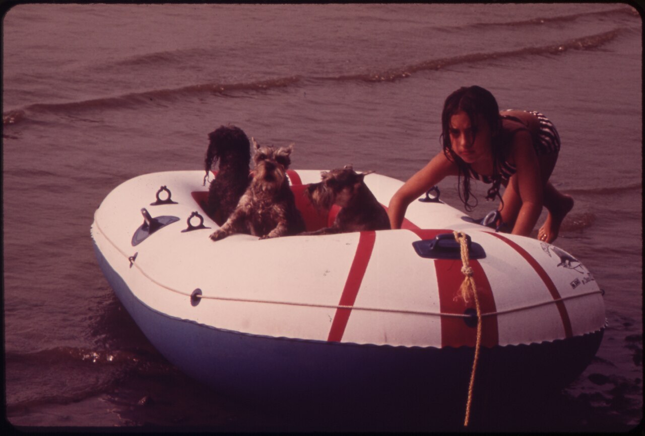 TWO SCHNAUZERS AFLOAT ON THE HUDSON RIVER OFF CROTON POINT PARK - NARA - 549954.tif