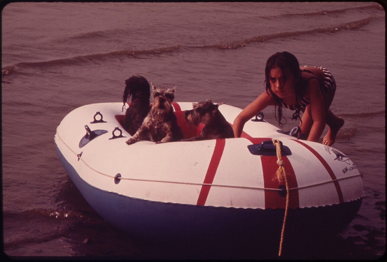 TWO SCHNAUZERS AFLOAT ON THE HUDSON RIVER OFF CROTON POINT PARK - NARA - 549954.jpg