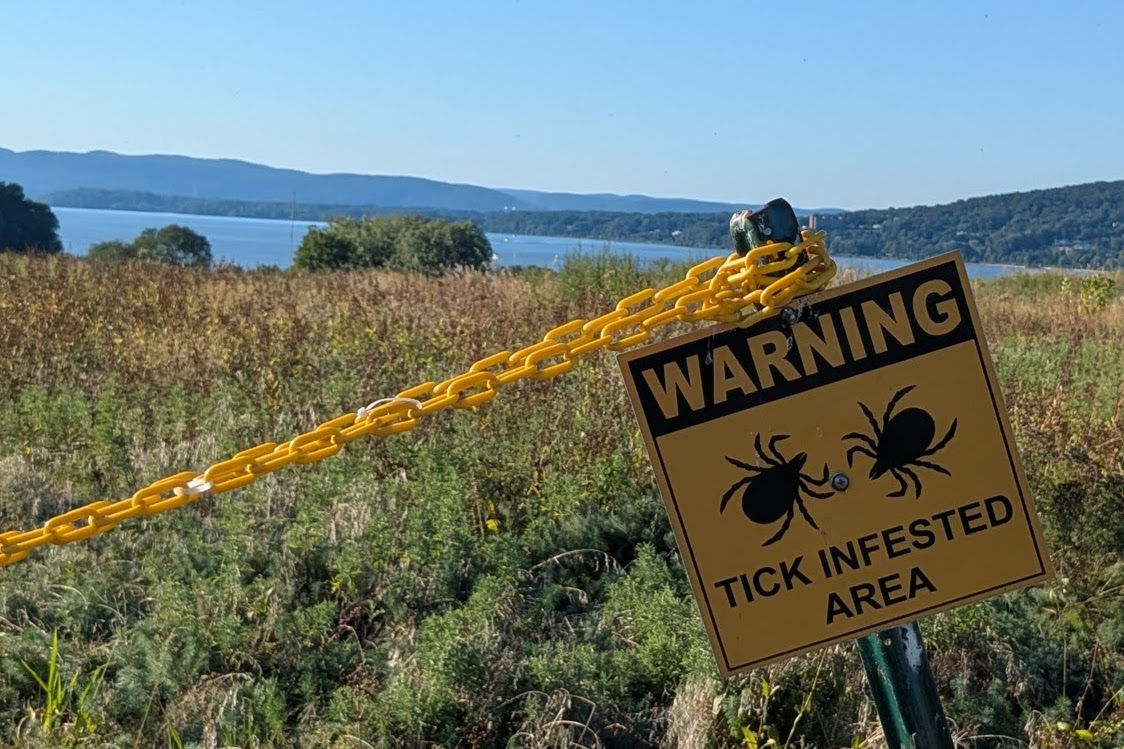 Tick Infested Area.jpg