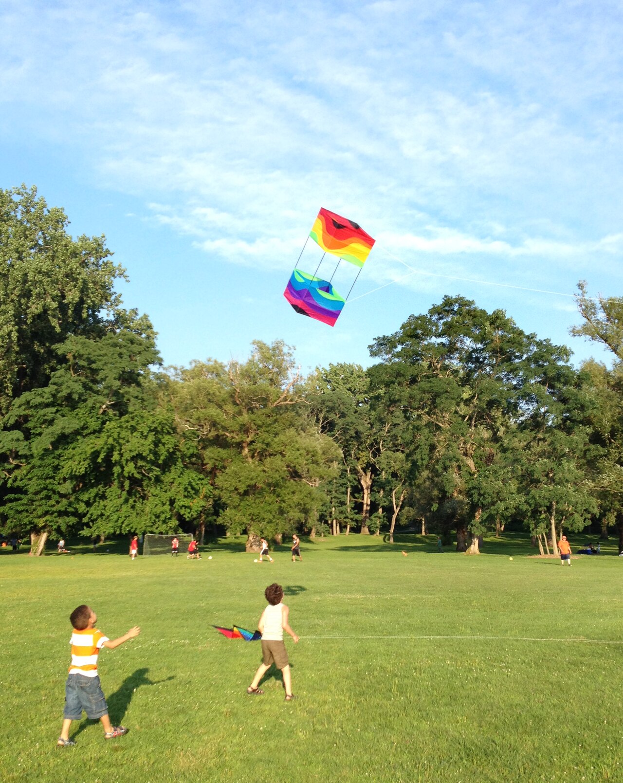 Children chasing a box kite Summer 2014.tif