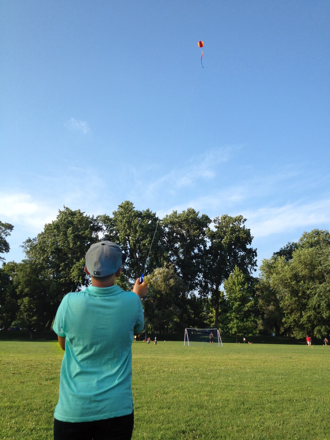 Boy flying a kite.tif