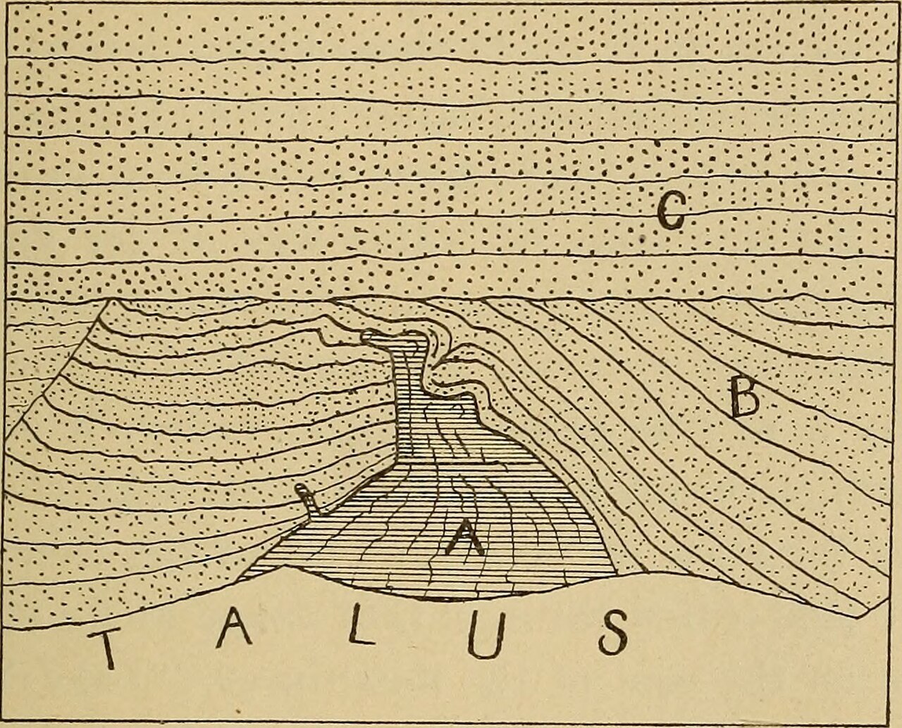 Bulletin - New York State Museum (1905) (14779126841).jpg