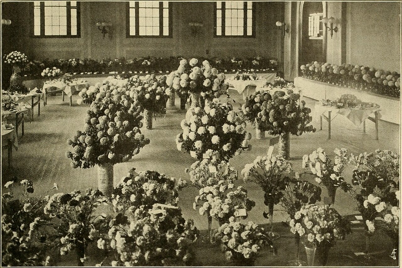 The American florist - a weekly journal for the trade (1914) (18117139196).jpg